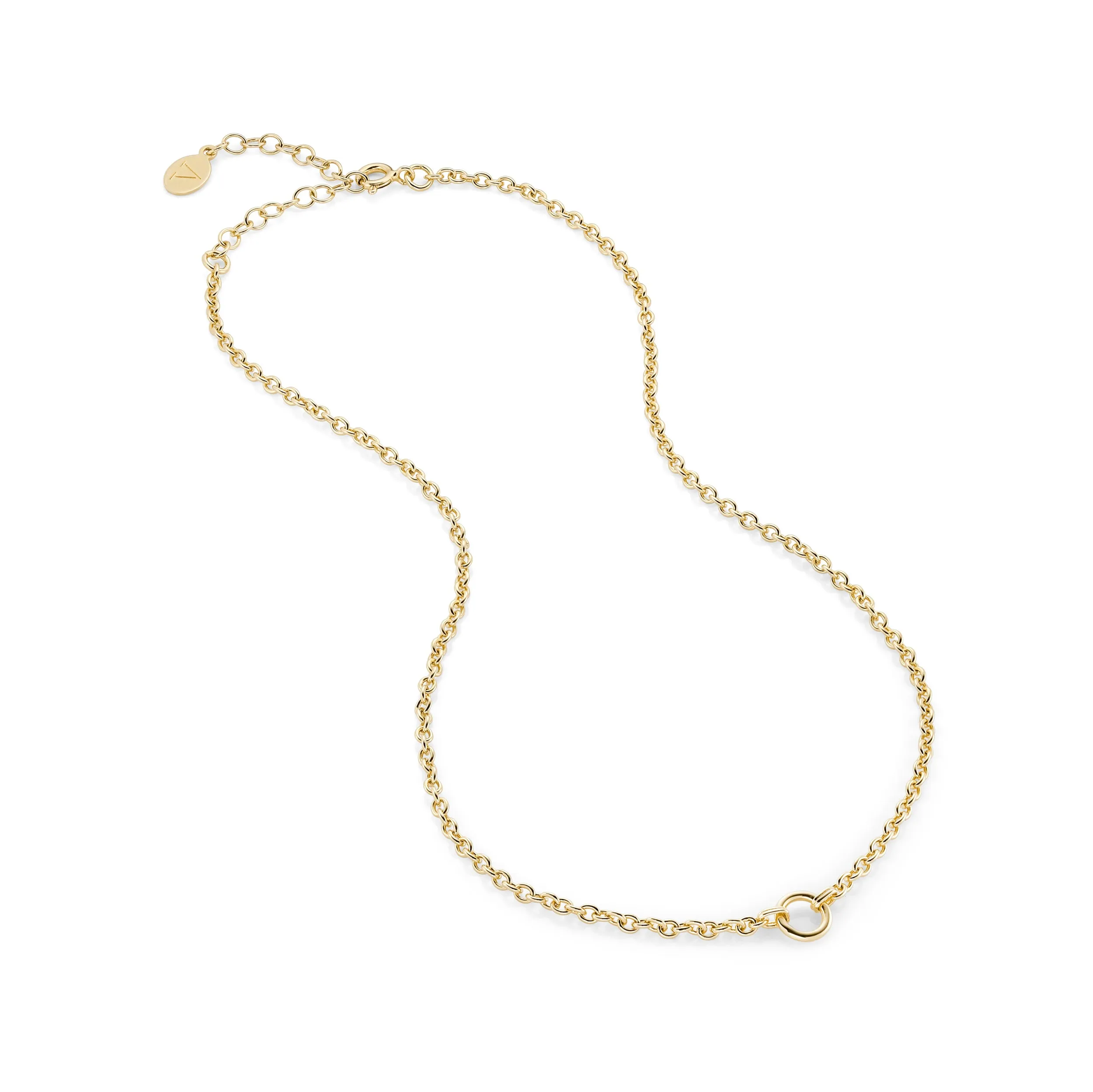 January: Garnet Charm on Carrier Chain