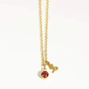 Love Waterproof January & Capricorn Necklace Gold Plating